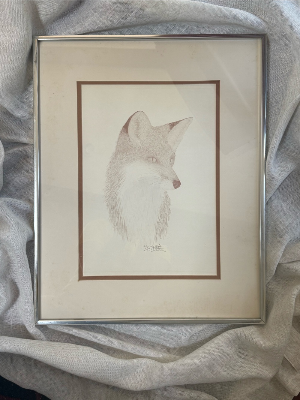 Framed Fox Sketch Art Print in Brown Mat